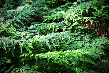 Similar image 22140902