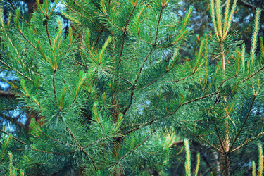 Similar image 22140910