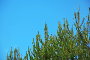 Similar image 22140913