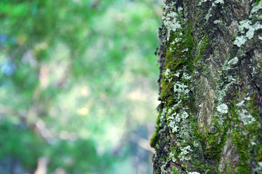 Similar image 22140914