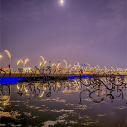 Similar image 22149495