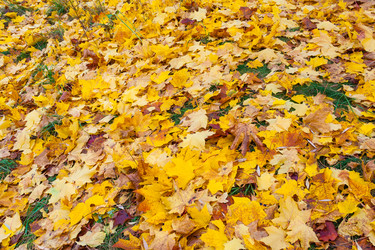 Similar image 22155056