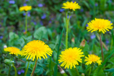 Similar image 22155263