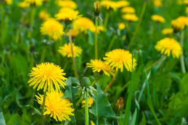 Similar image 22155265