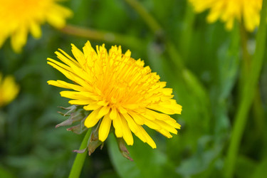 Similar image 22155496