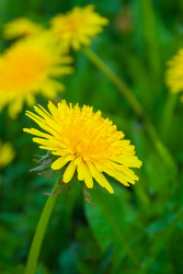 Similar image 22155500