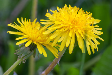 Similar image 22155502