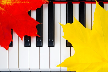 Similar image 22140850