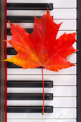 Similar image 22140852