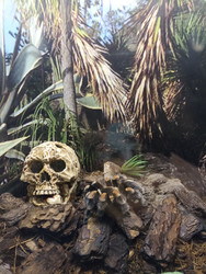 Similar image 22140916