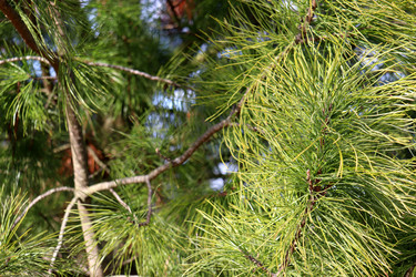 Similar image 22148817