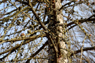 Similar image 22148819