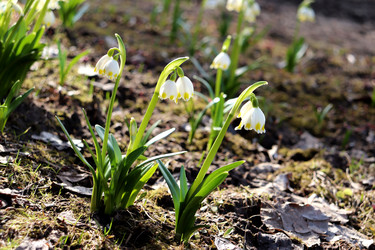 Similar image 22140926