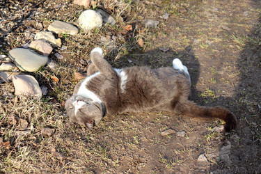 Similar image 22140927