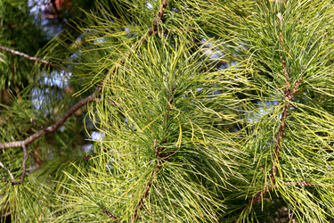 Similar image 22141321