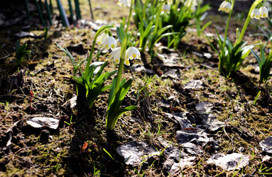 Similar image 22144047