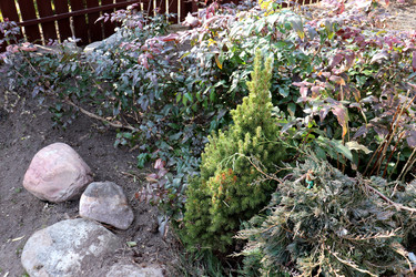 Similar image 22144050