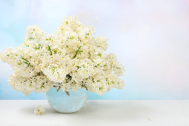 Similar image 22140929