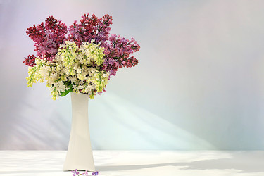 Similar image 22140932