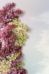 Similar image 22140937