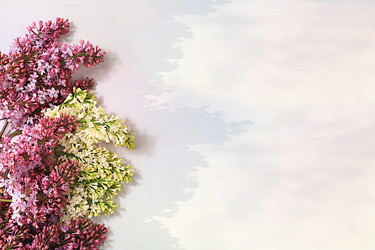 Similar image 22140938