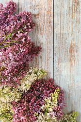 Similar image 22141239