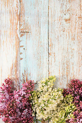 Similar image 22141241