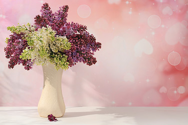 Similar image 22141242