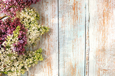 Similar image 22141243