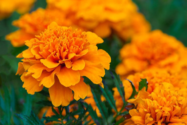 Similar image 22141971