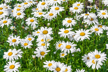 Similar image 22141977