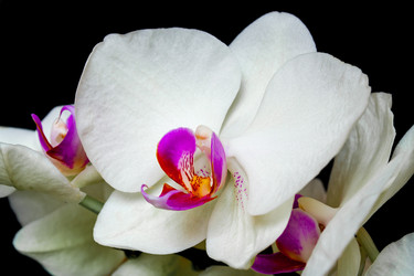 Similar image 22142207