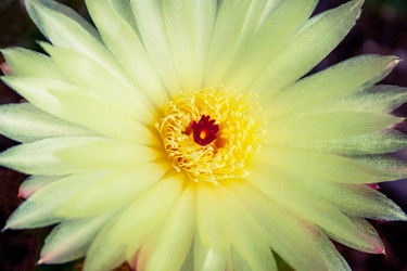 Similar image 22154555