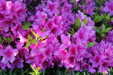 Similar image 22140939