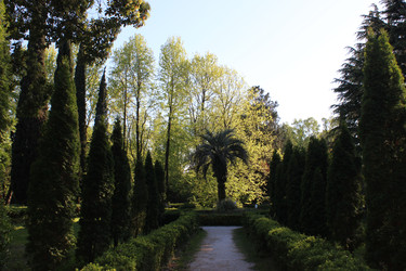 Similar image 22140940