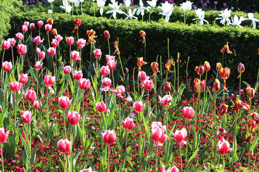 Similar image 22140941