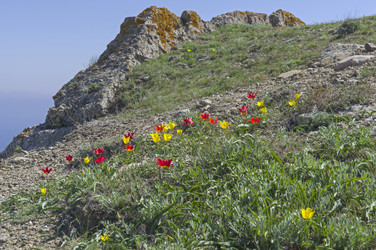 Similar image 22140942