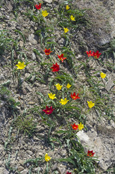 Similar image 22140943