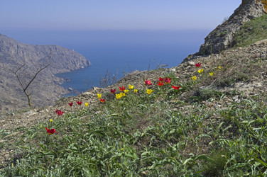 Similar image 22140944