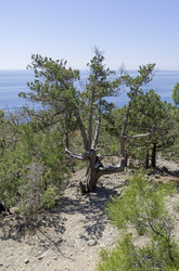 Similar image 22140947