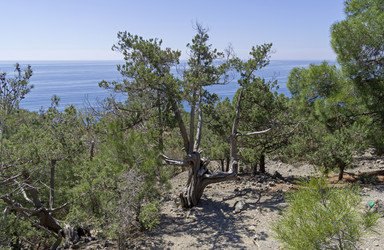 Similar image 22140948