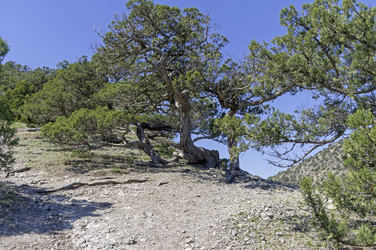 Similar image 22140949