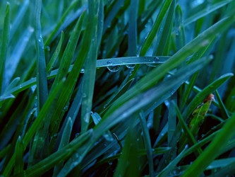 Similar image 22140950