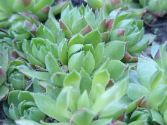 Similar image 22140951