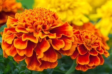 Similar image 22142229