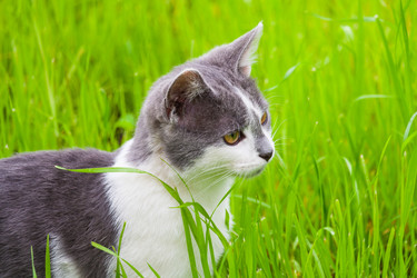 Similar image 22142239