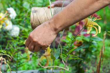 Similar image 22142243