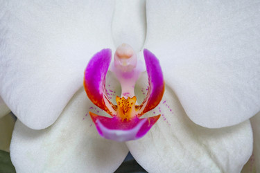 Similar image 22142246