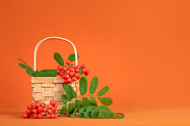 Similar image 22141753