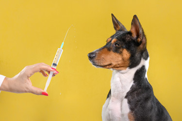 Similar image 22141757